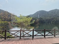 景点-广州市石门国家森林公园