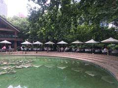 -静安公园(静安寺街道)