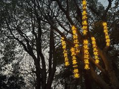 -天目湖涵田半山温泉