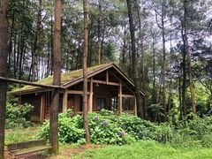 -重庆雨台山风景区