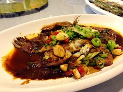 -两户人家农家乐