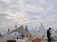 -Blue Concept Cafe&Farm·關於藍