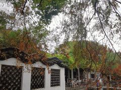 -西园戒幢律寺