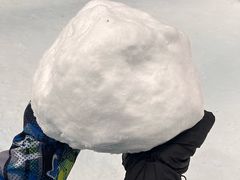 -世界之窗阿尔卑斯冰雪世界