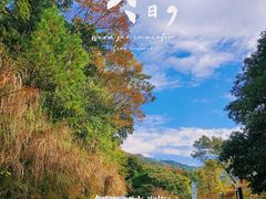 -广州市石门国家森林公园