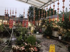 -寻味顺德·南记酒家·传统顺德菜·鱼生(广源路店)