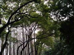 -采石矶景区