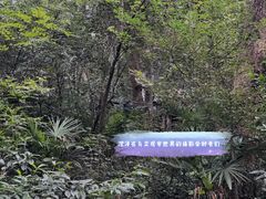 -北极阁公园