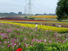 -紫颐香薰山谷景区