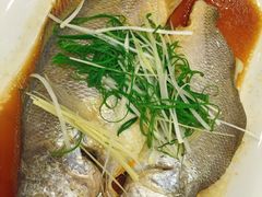 黄花鱼-顺悦酒家(嘉信城市广场店)