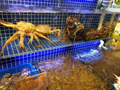 -必点海鲜·鲅鱼水饺(鞍山西道店)