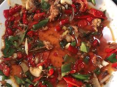 -煲来饱去冷水鱼