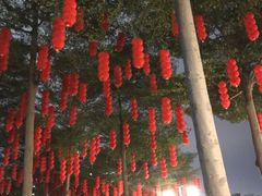 -深圳湾公园(南山区)