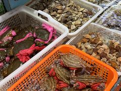 -柴火灶·传统莆田菜·农家乐(莆田总店)