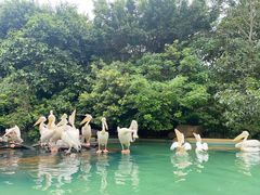-珠海长隆海洋王国