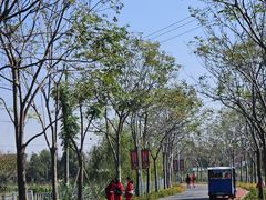 -上海长兴岛郊野公园