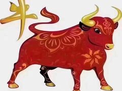 -GalaCity上海歌城(杨浦百联店)