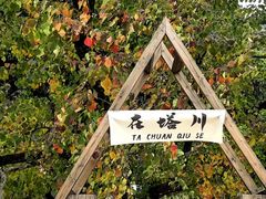 -塔川景区