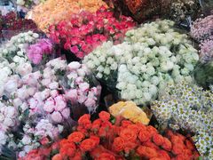 -循礼门鲜花花市(武汉循礼门店)