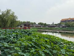-大明幻境第一城