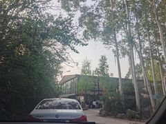-桉树林A coffee 森林餐厅(三圣乡店)