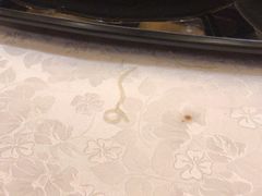 -鸿运酒楼