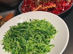 炝炒豌豆苗-纯阳•六两酒馆
