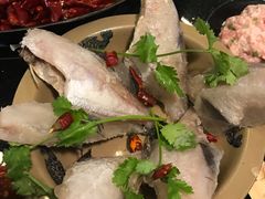 蓝尾耗儿鱼-肥龙火锅(南坪店)