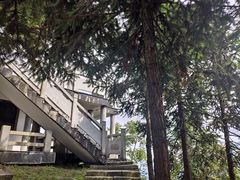 -紫鹊界梯田景区