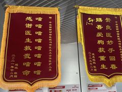 -中农国际动物医院24小时·猫科·骨科·急重症中心