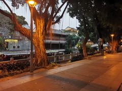 -荔湾湖公园