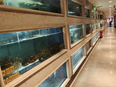 -顺峰(农展馆店)