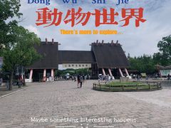 -上海野生动物园