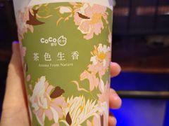 -CoCo都可(燕郊永旺店)