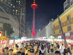 -辽宁电视塔