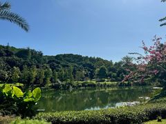 -云溪植物园