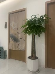 -御品•瑶浴灸疗SPA