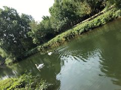 -长白岛森林公园