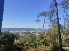 -火炉山森林公园