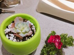 -海底捞火锅(凯德广场店)