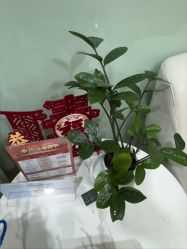 -重庆联合丽格第五医疗美容医院