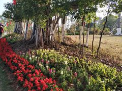 -东莞植物园