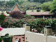 -深圳龙潭公园