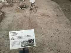 -南越王博物院(王宫展区)