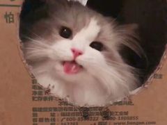 -姑娘手肉夹馍·凉皮·粉面(邗江万达店)