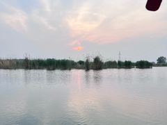 -白洋淀景区