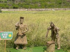 -福建土楼（华安）旅游区•大地土楼群