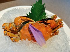 -福玺荟(外滩罗斯福店)