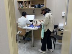 -瑞鹏宠物医院·骨外科·心肾科·肿瘤科(九亭店)