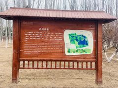 -大兴滨河森林公园